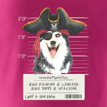 Lump a darebák husky