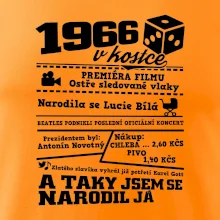 1966 v kostce