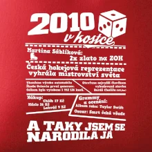 2010 v kostce
