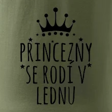 Princezny se rodí v lednu