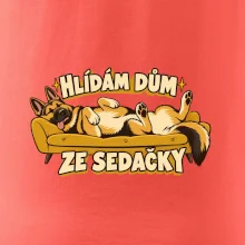 Hlídám dům ze sedačky - vlčák