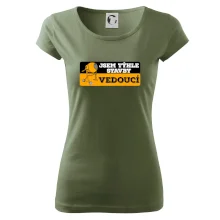 Jsem týhle stavby vedoucí