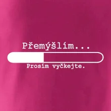 Přemýšlím