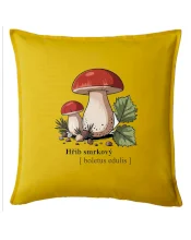Hřib smrkový - Boletus edulis kreslený