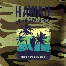 Hawaii Hawaii