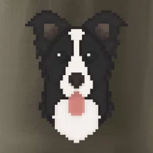 Border kolie Pixel