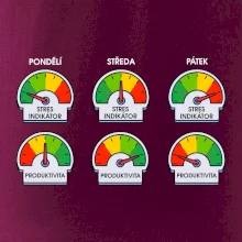 Průběh pracovního týdne