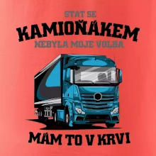 Stát se kamioňákem nebyla moje volba