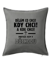 Dělám co chci, kdy chci důchod
