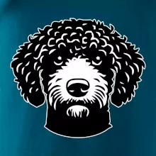 Lagotto romagnolo hlava na prsu