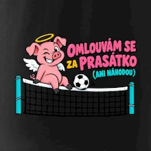 Nohejbalové prasátko na síti