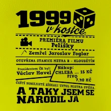 1999 v kostce
