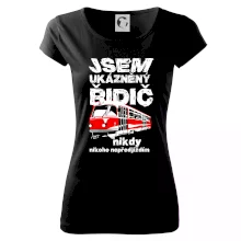 Jsem ukázněný řidič - tramvaj