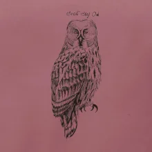 Puštík vousatý great gray owl