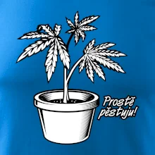 Konopi prostě pěstuju