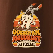 Odebírám moudrost na počkání
