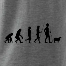 Evoluce pastevec ovcí