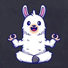 Yoga meditace - lama