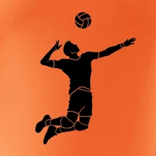 Volejbal nápřah muž