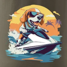 Bígl na vodním skútru