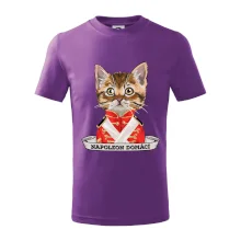 Napoleon domácí kočka