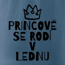 Princové se rodí v lednu