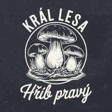 Král lesa hřib pravý