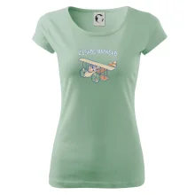 Československo letadlo (Pecka design)