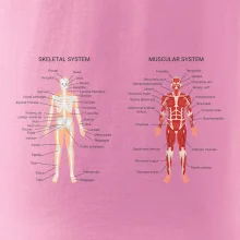 Skelet and Moscular system