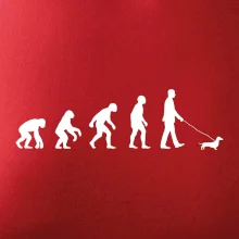 Jezevčík Evoluce muž / žena Jezevčík Evoluce muž / žena