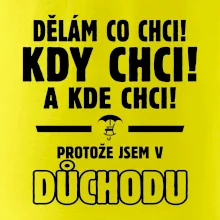 Dělám co chci, kdy chci důchod