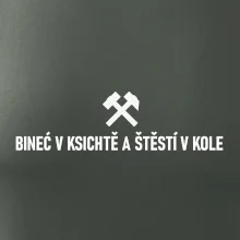 BINEĆ V KSICHTĚ A ŠTĚSTÍ V KOLE﻿