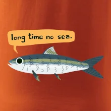 Long time no sea