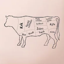 Kráva nákres s názvy