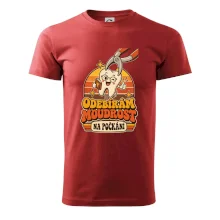 Odebírám moudrost na počkání