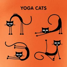 Kočičí jóga (Hana-creative)