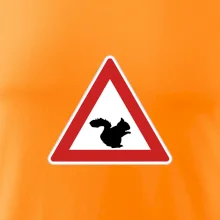 Dopravní značka - Pozor veverka
