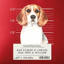 Lump a darebák bígl