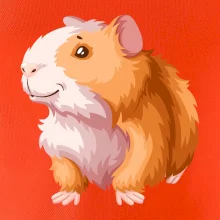 Morče - kreslené, bílo oranžové