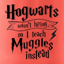 Harry - Hogwarts wasn’t hiring, so I teach Muggles instead