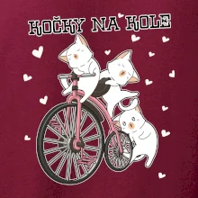 Kočky na kole