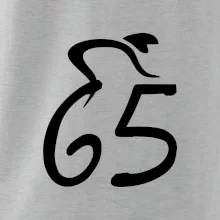Cyklista slaví pětašedesátku (65)