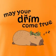 May your dřím come true
