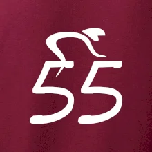 Cyklista slaví pětapadesátku (55)