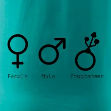 Female male programmer