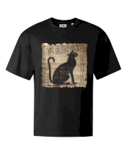 Egyptské hieroglyfy kočka