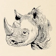 Nosorožec černobílý  (Pecka design)