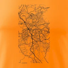 Černobílá mapa Liberec