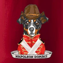 Napoleon domácí pes kříženec