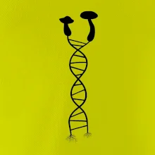 DNA houby